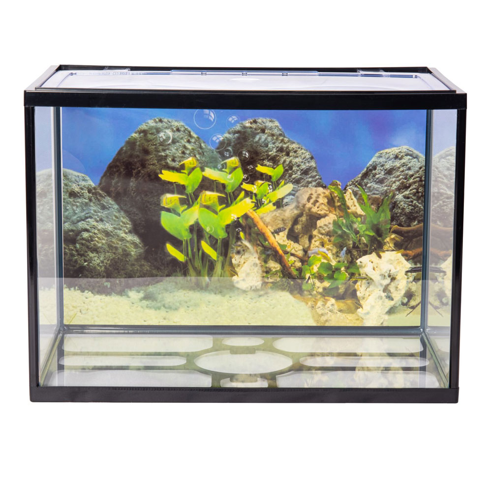 Aqpet Acquario One Mini in vetro 20litri