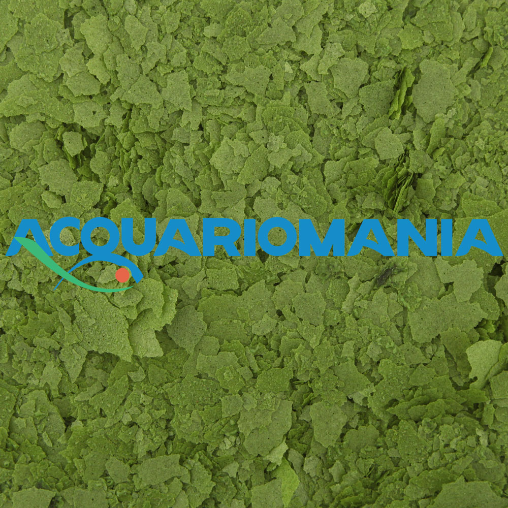 Shg Spirulina Fiocchi 15gr