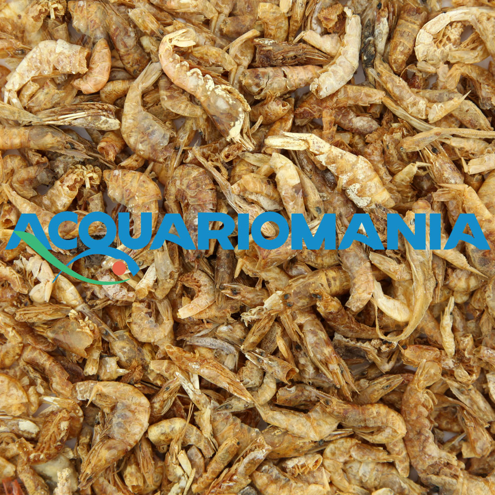 Prodac Tartafood Big 1200 ml 150 g