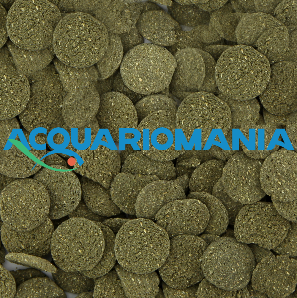 Prodac Algae Wafers Pesci di fondo vegetariani 250ml 125g