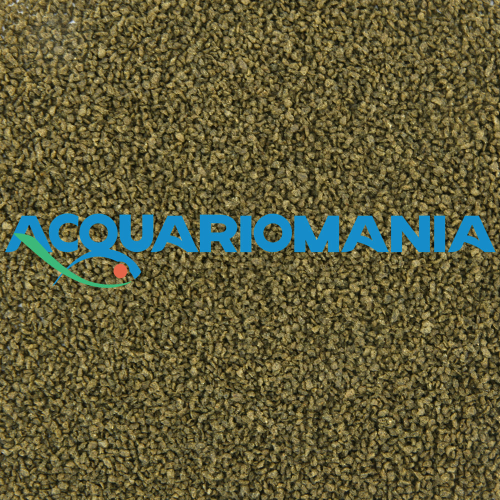 Shg Spirulina in granuli 40g