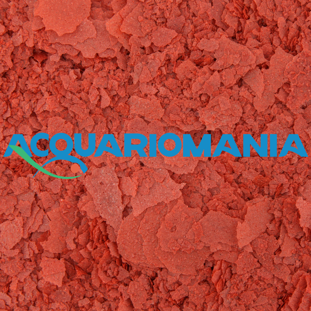 Shg Hi Red in fiocchi 75g