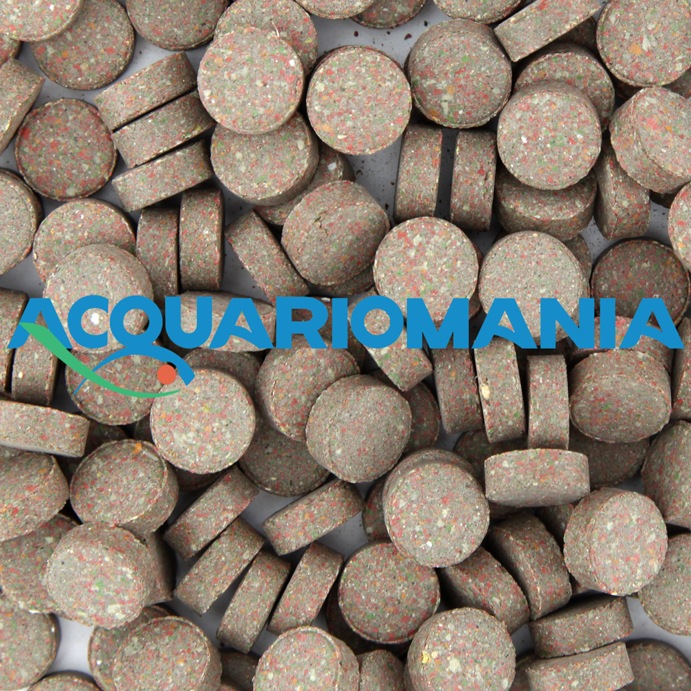 Shg Corytabs Pastiglie per pesci da fondo 60 g