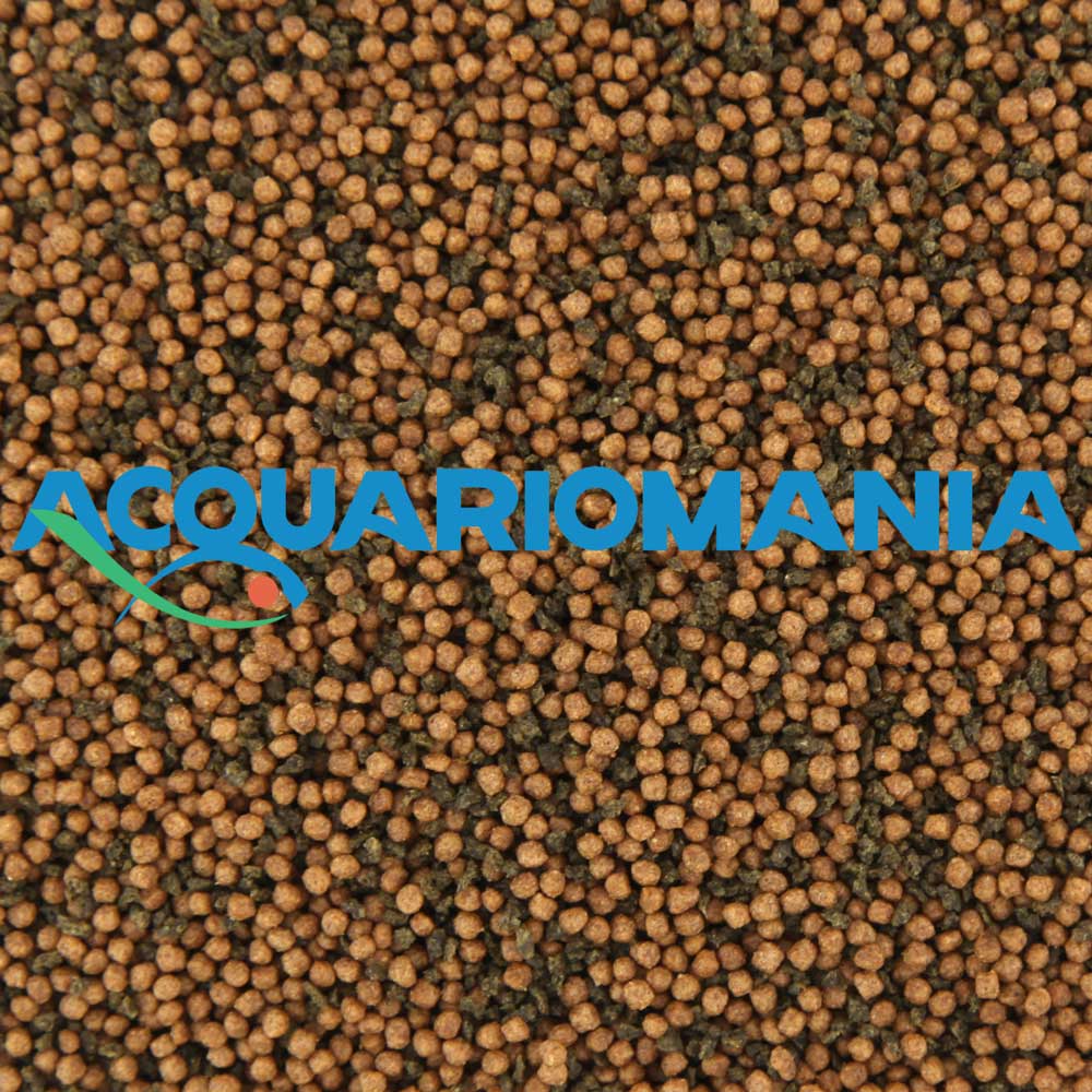 Shg Cichlids Small 50g