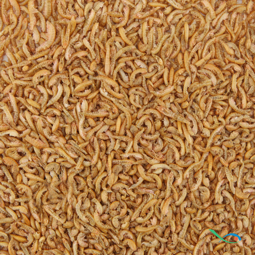 Prodac Tartafood Gammarus 10L 1Kg