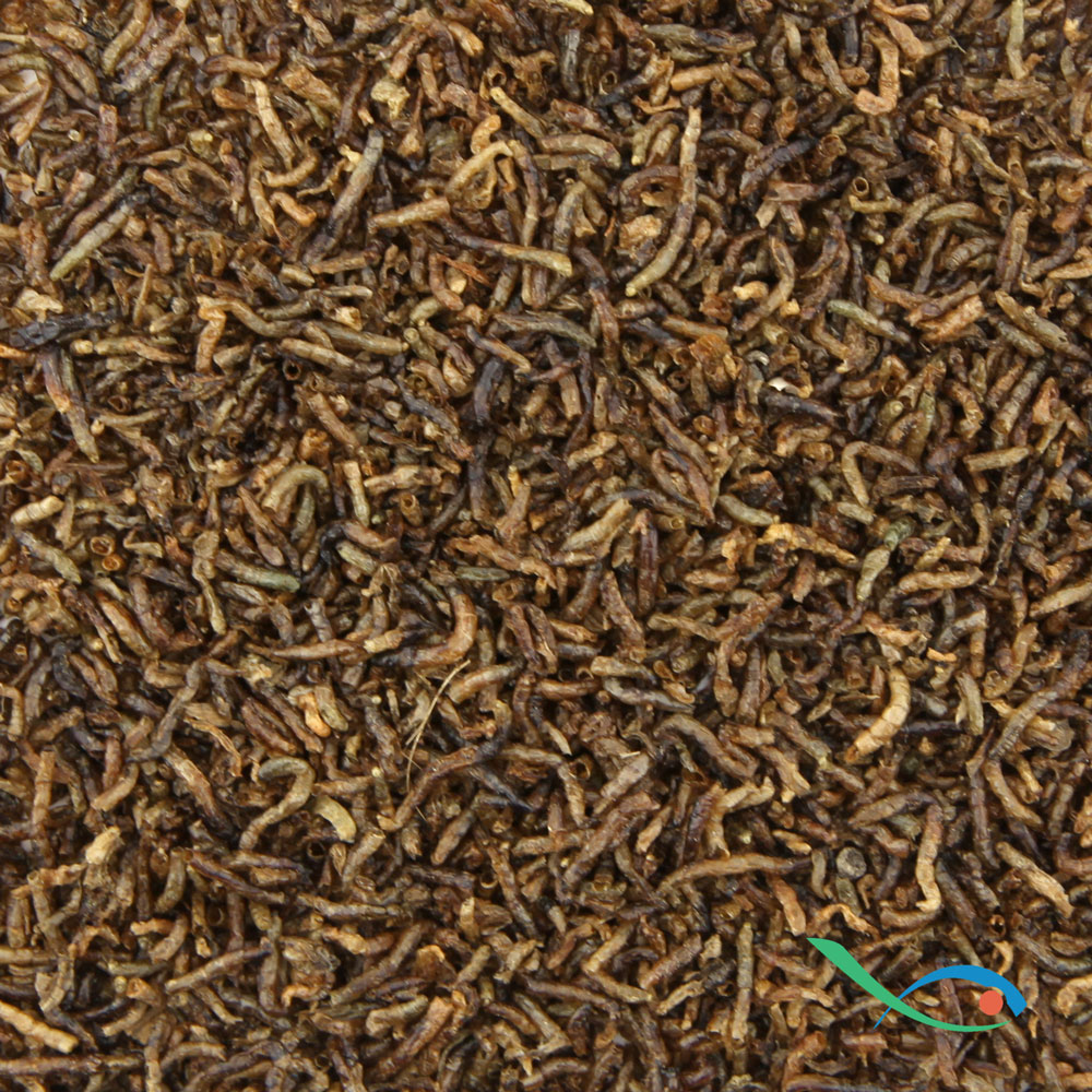 Prodac Bloodworms Chironomus Larve rosse di zanzara liofilizzate 100ml 7g