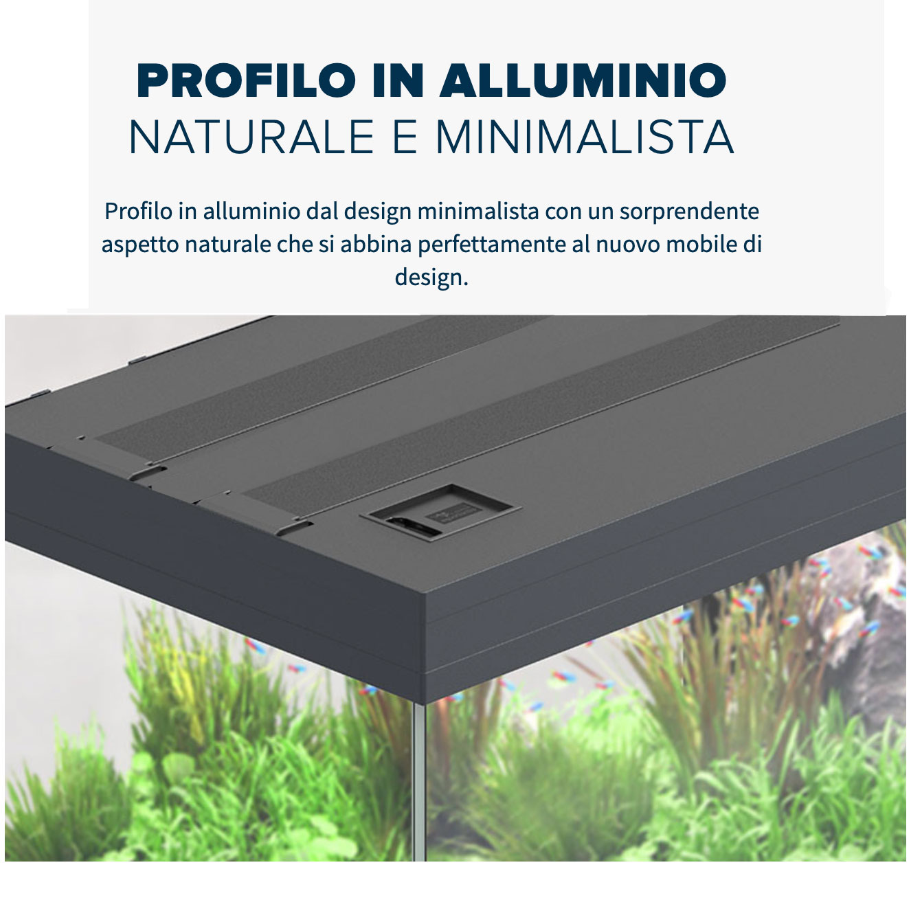 Aquatlantis Volga 350 Acquario Bianco 350 litri