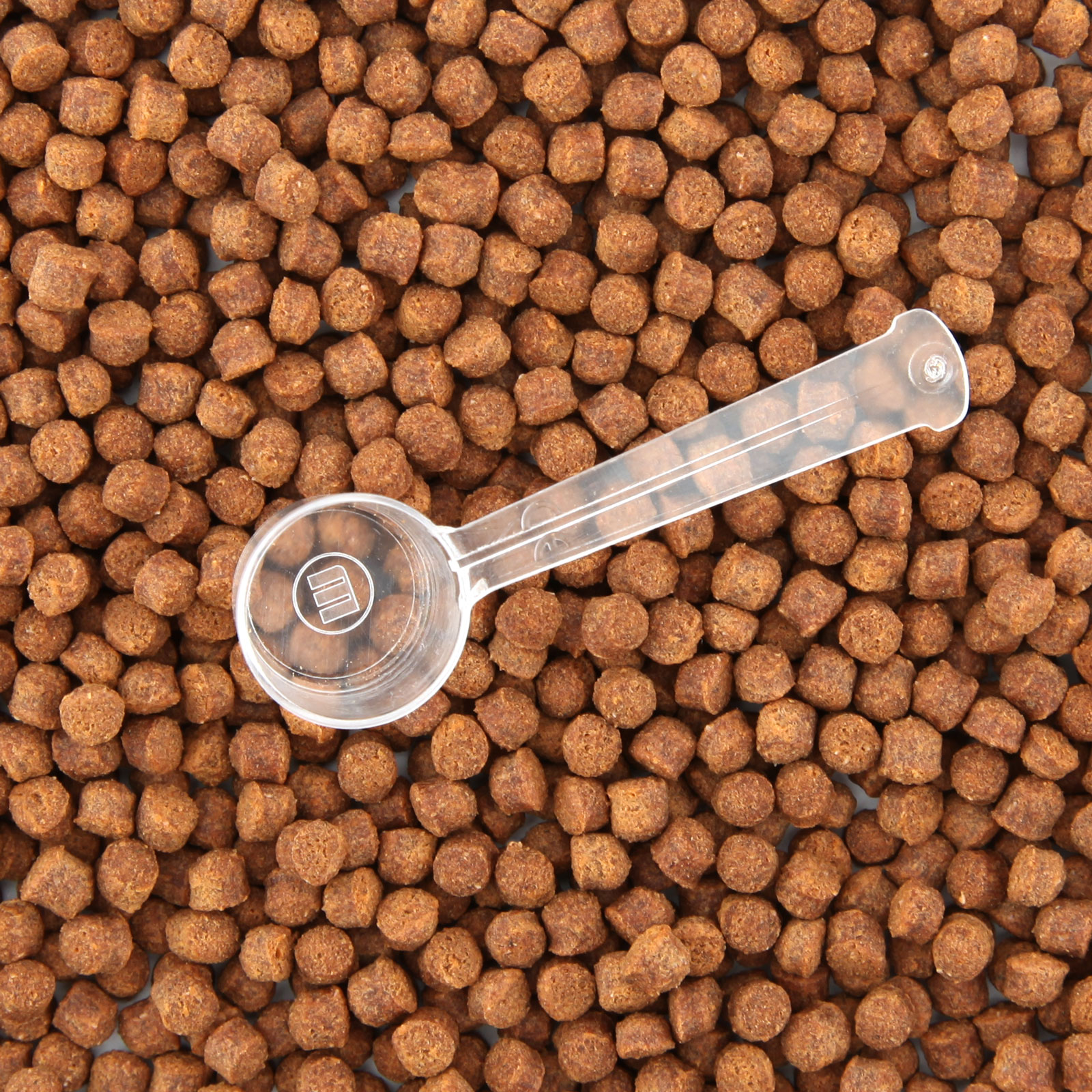 Aquaristica Pellet Ciclidi Super Color L 170ml 60g