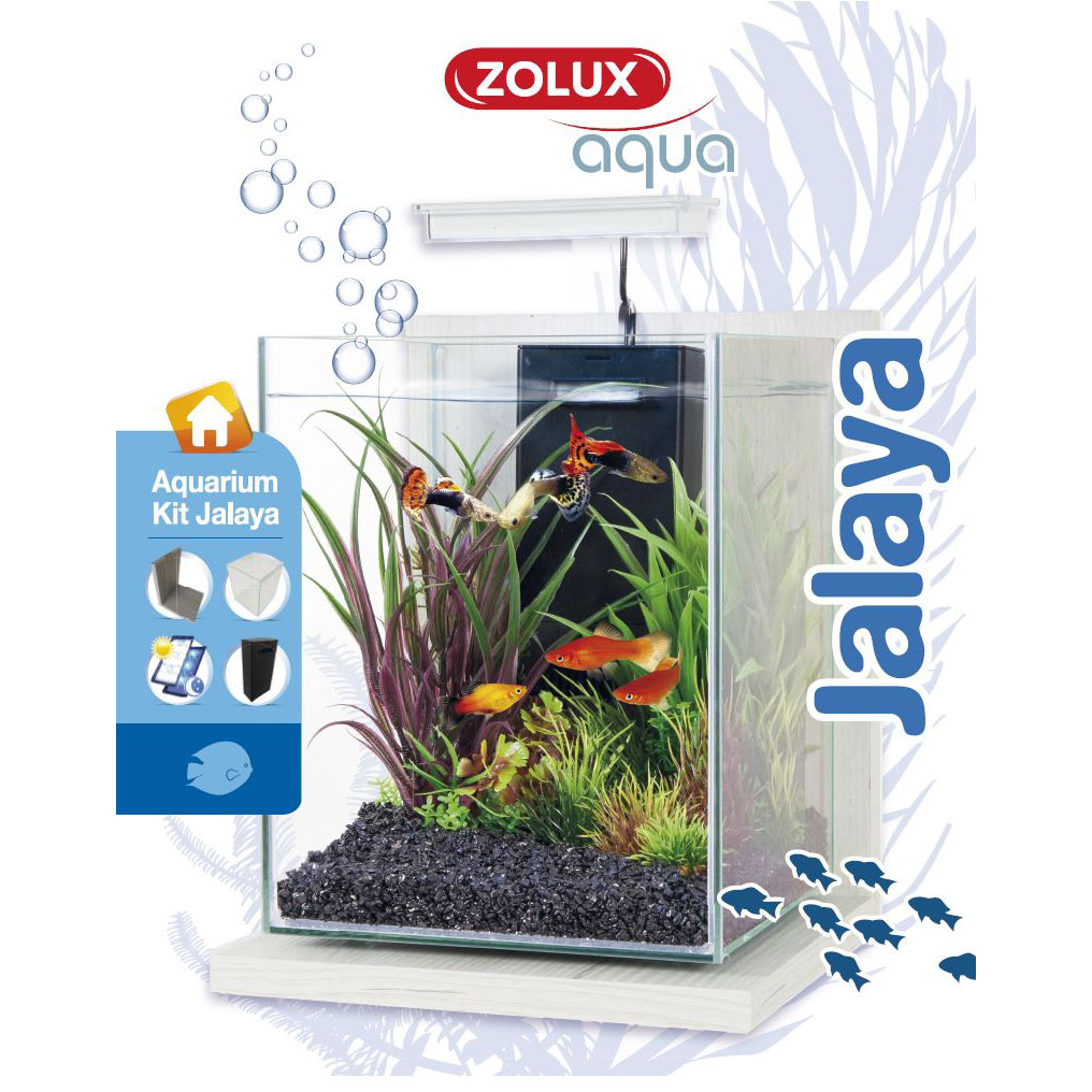 ACQ. AQUA JALAYA CERUSE BIANC