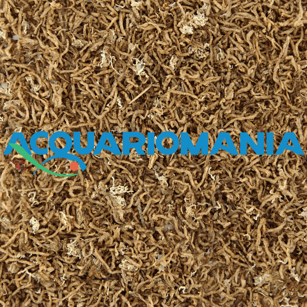 Haquoss Chironomus Natural 7g