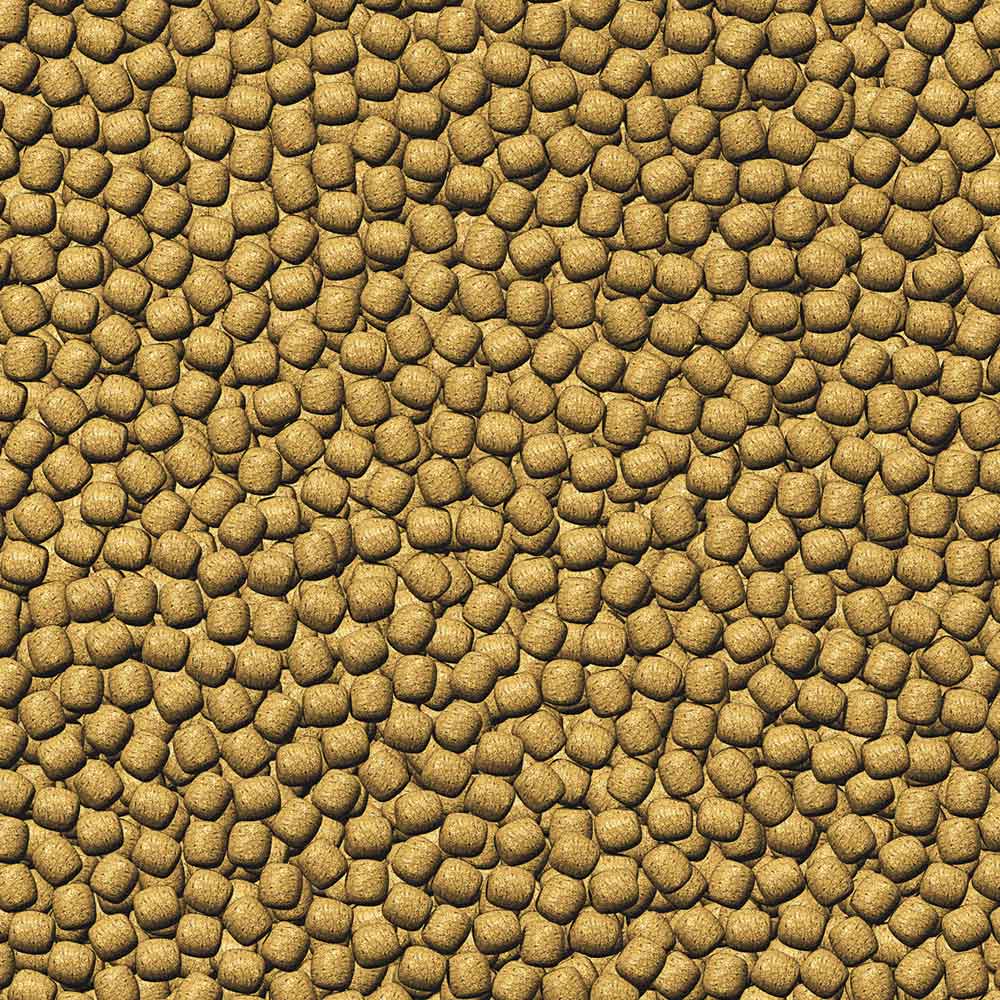 Jbl Pro Pond Winter Pearls M Mangime invernale per Carpe Koi 3000ml 1,8kg