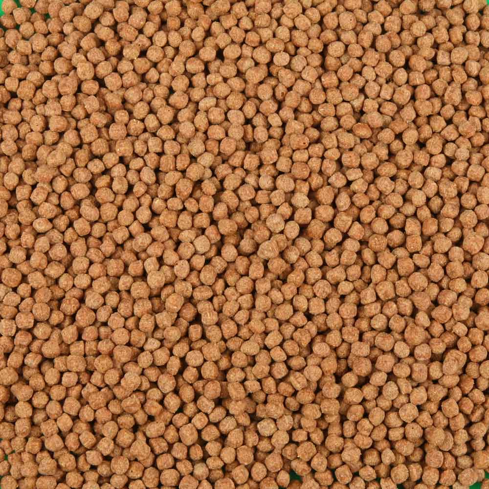 Jbl ProPond Color Pearls S Mangime Colorazione per Laghetto 1000ml 420g