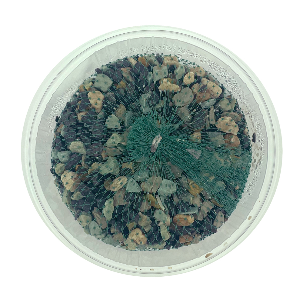 Amtra Clean Procult Filterstart XL Batteri vivi Freschi 200ml