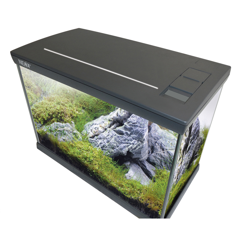 Newa Mirabello 30 Young Led MF Acquario 30 litri Antracite New 2021