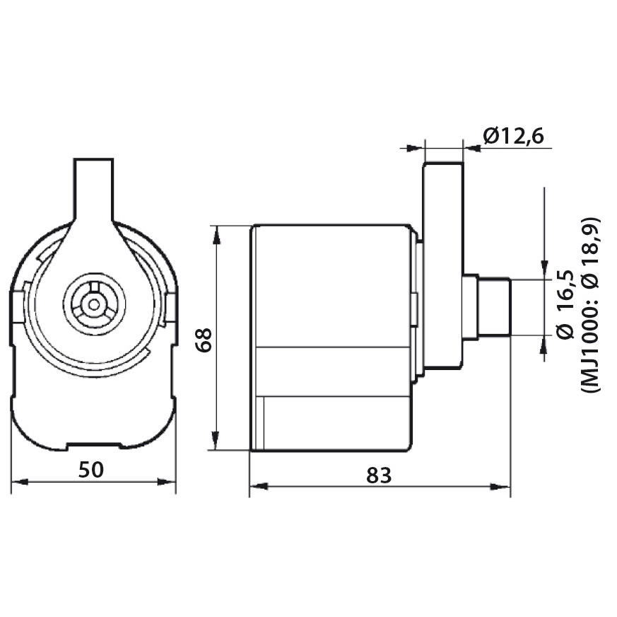 Newa Maxi 750 Pompa 750 l/h