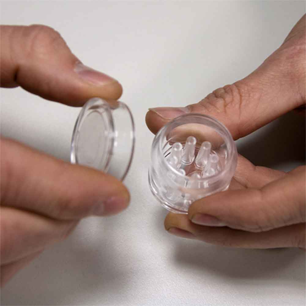 Hobby Planaria X Trappola Planarie