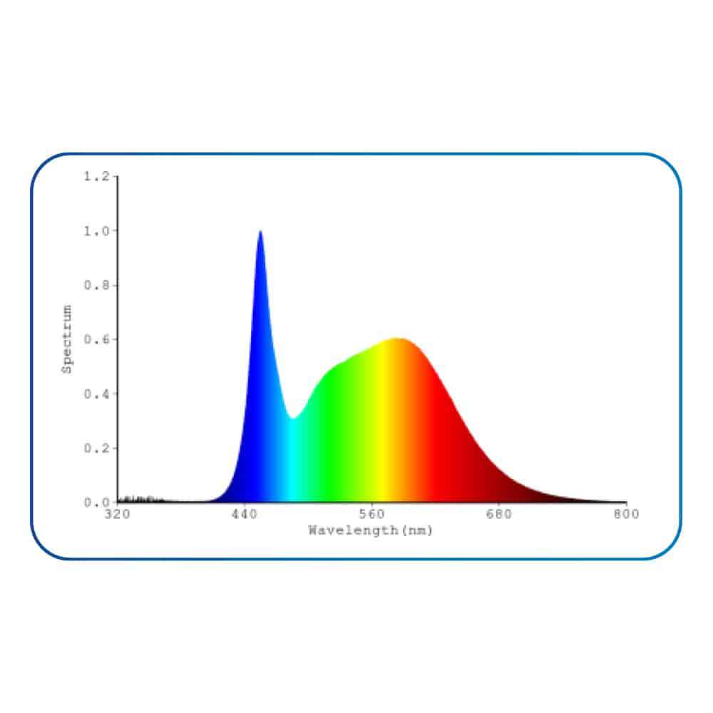 Amtra Led Glass Fresh Lampada a Led Regolabile con Dimmer e Timer inclusi 980mm 24W (T5 54W T8 38W)