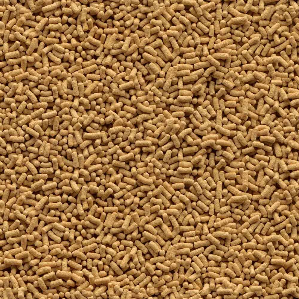 Tetra Pond Sticks Mangime base per Laghetto 10lt secchiello