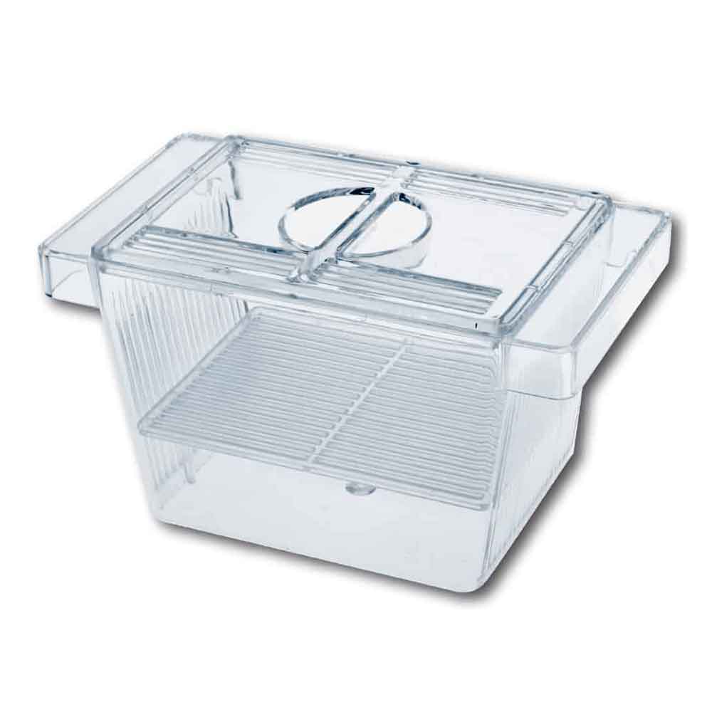 Amtra Sala Parto Nursery Small per avanotti con divisore coperchio e ventose