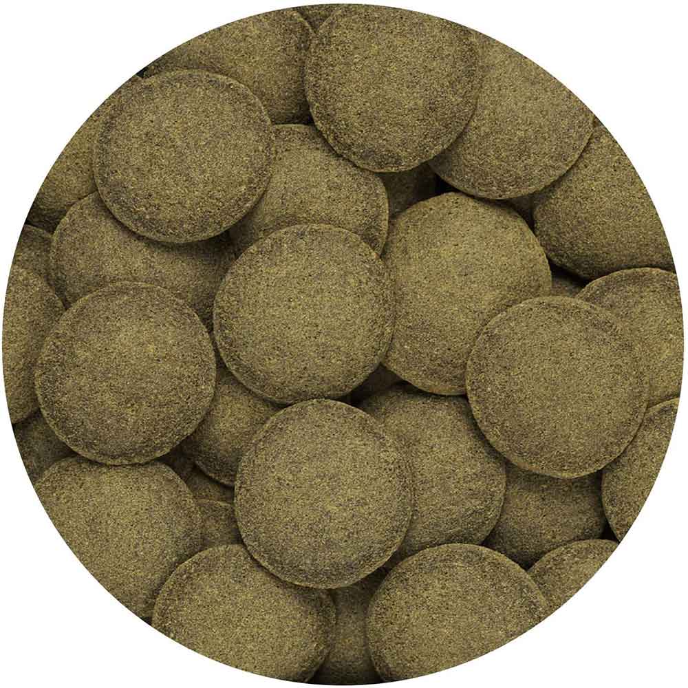 Hikari Algae Wafers per Pulitori e altri pesci vegetariani 20g