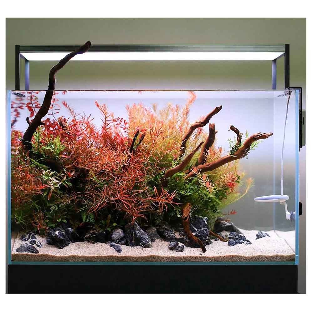 Twinstar Nano II Plus Sterilizzatore Ionizzatore per acqua dolce fino a 250l