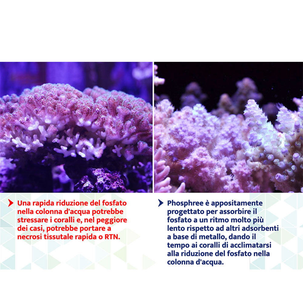 Maxspect Nano Tech Phosphree Antifosfati 250ml