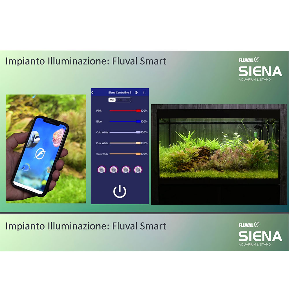 Askoll Fluval Siena 270 Combo Acquario con Supporto 90x55x55h cm