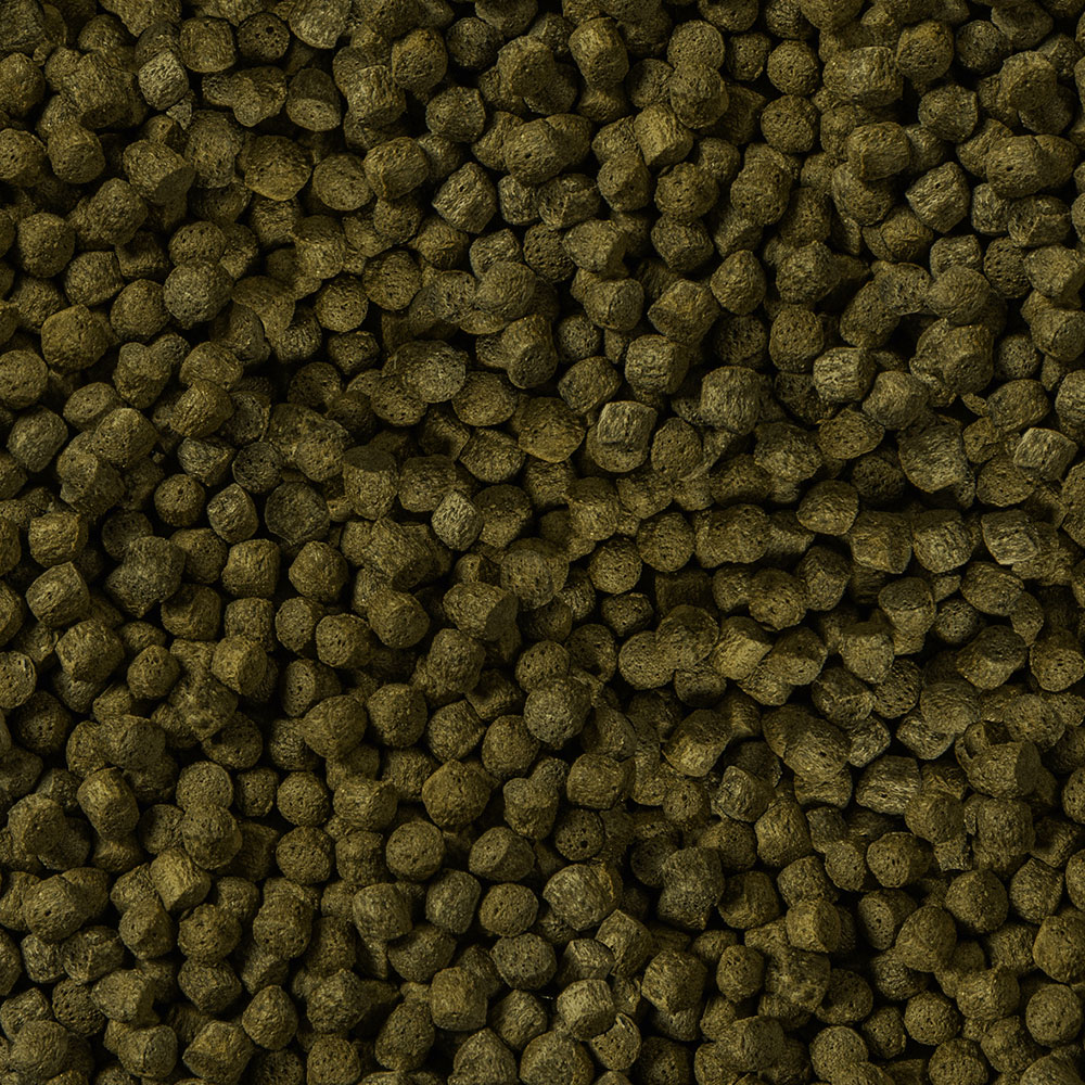 Sera Koi Color Nature Large 3,8l 980gr