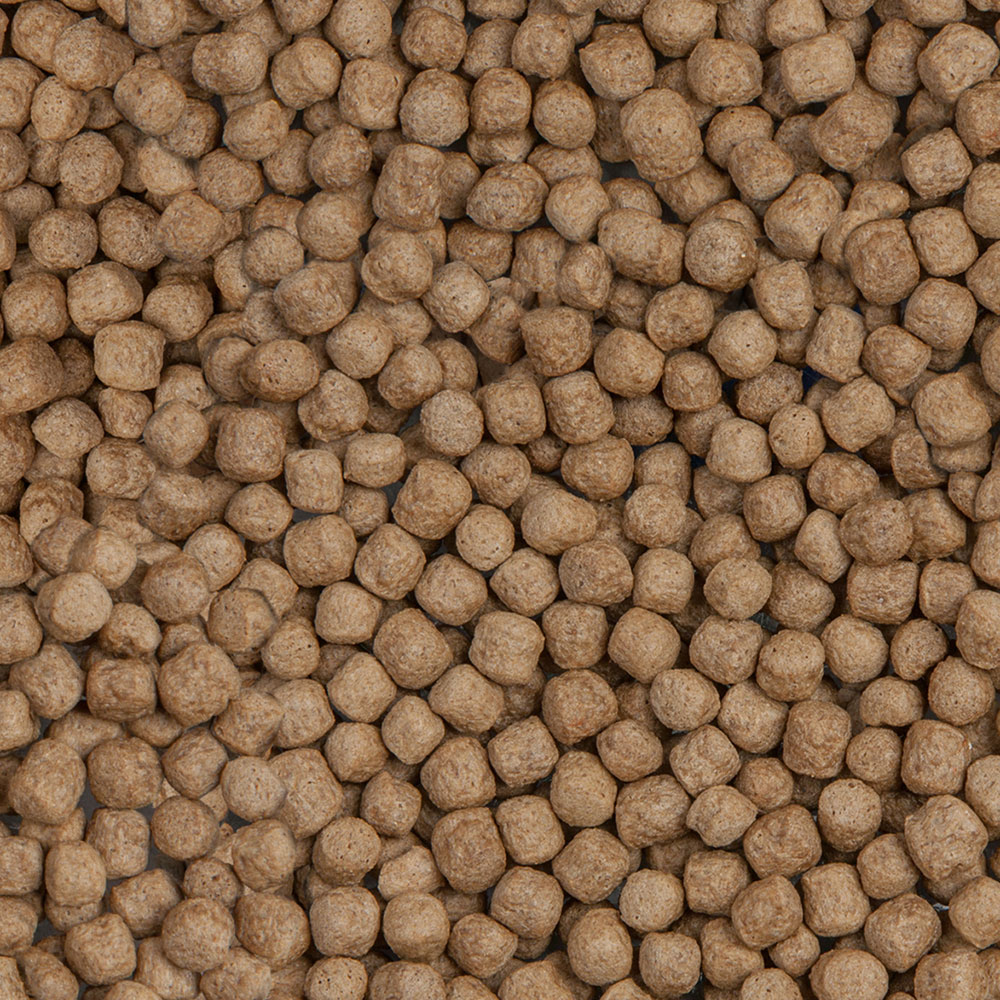 Sera Koi Royal Large 3800 ml 700 g