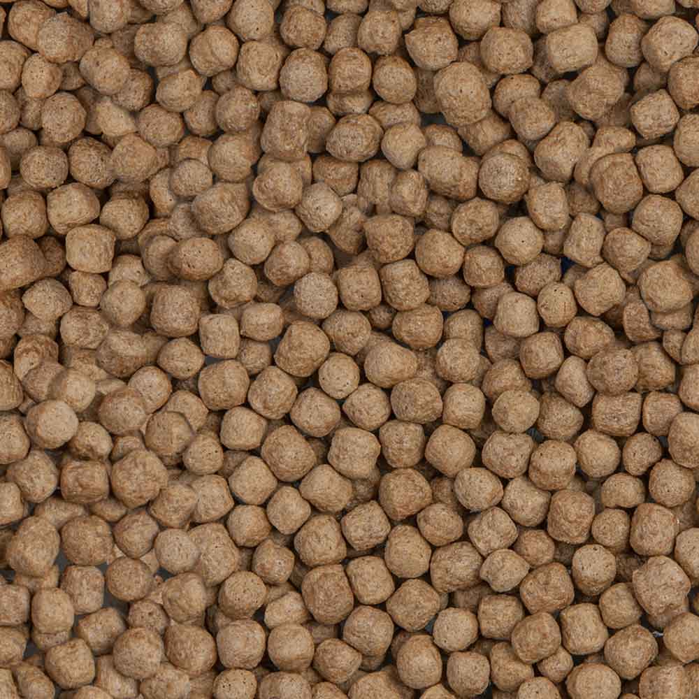 Sera Koi Royal Nature Large 21l 5,8Kg