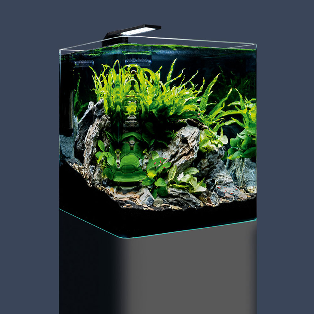 Dennerle Nano Cube Basic 30 Acquario 30Lt 30x30x35h cm