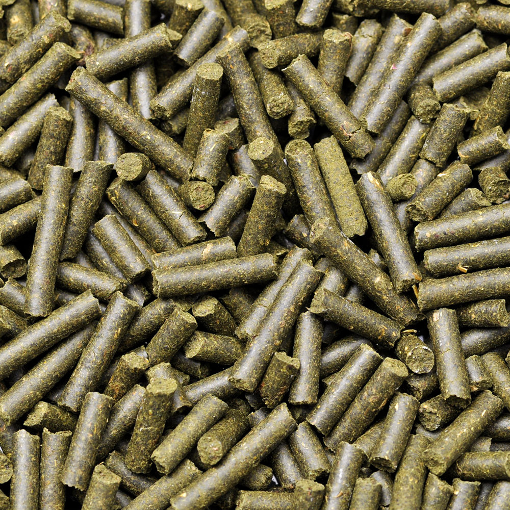 Dennerle Shrimp King Cibo Completo per Gamberetti 45gr