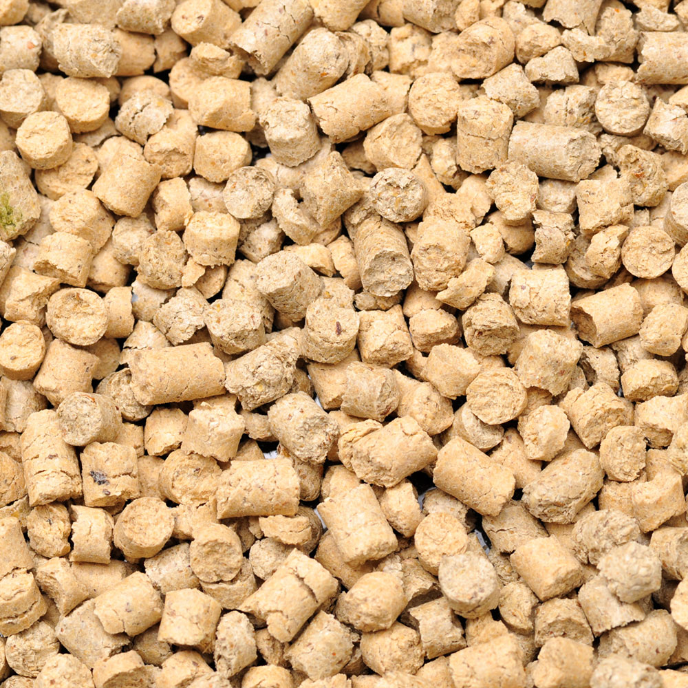 Dennerle Shrimp King Snow Pops Cibo per Gamberetti 40gr