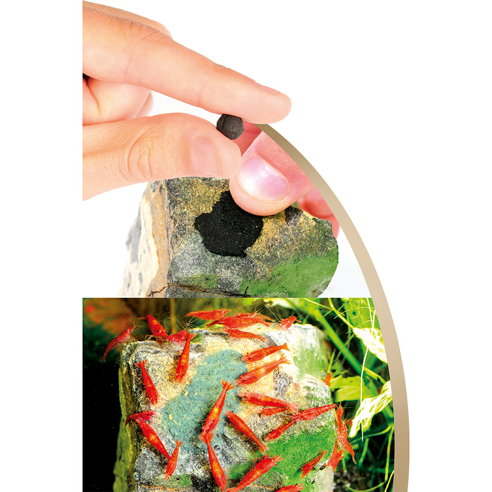 Dennerle Shrimp King Yummy Gum Cibo per Gamberetti 50gr