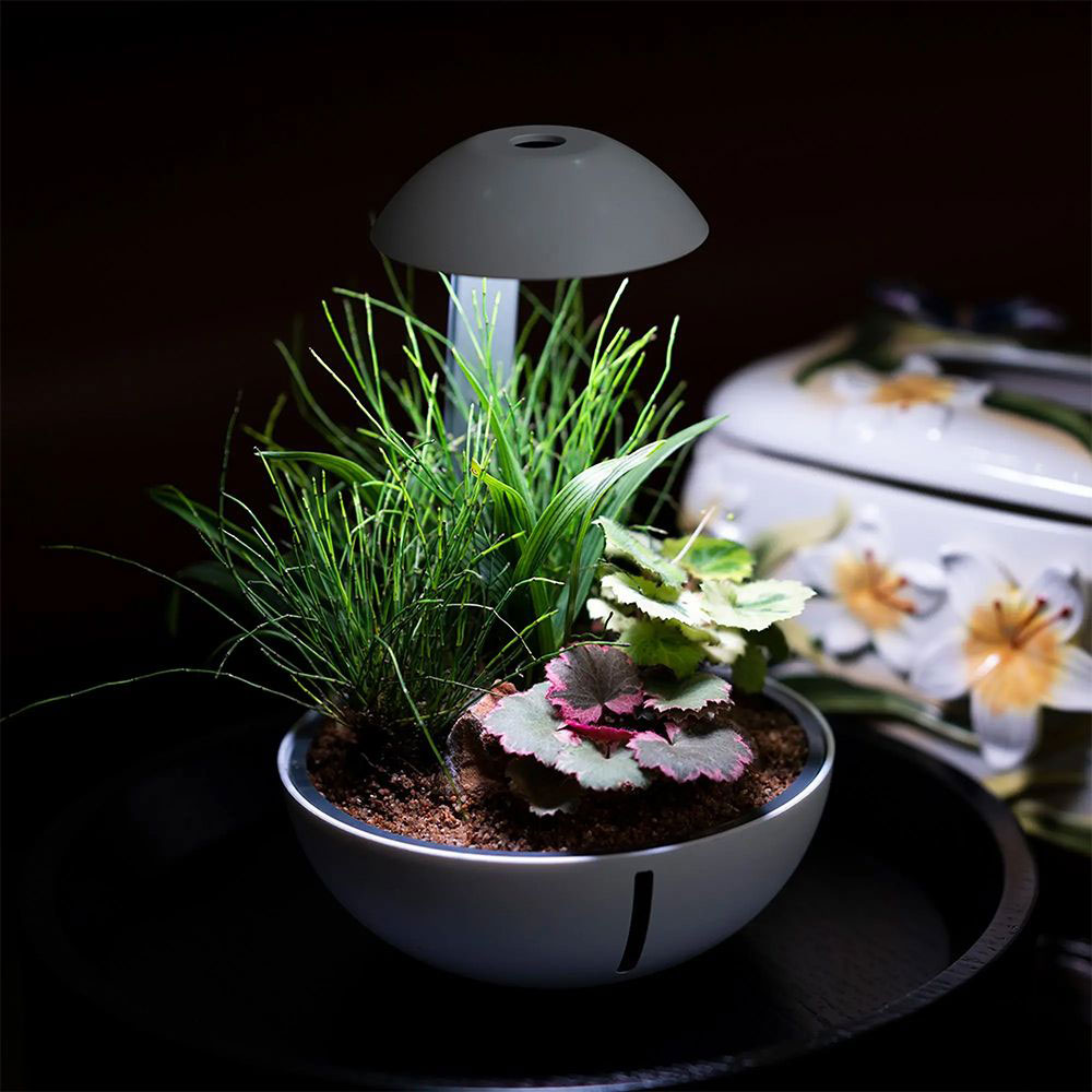 Chihiros Tiny Terrarium Egg Mini Serra da Tavolo 10W