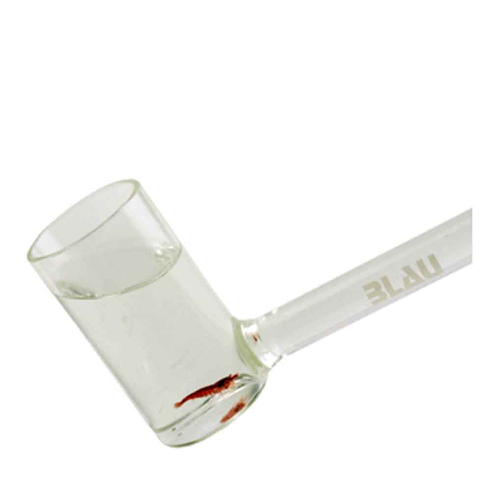 Blau Aquaristic Shrimp Chatcher Cattura gamberetti in vetro