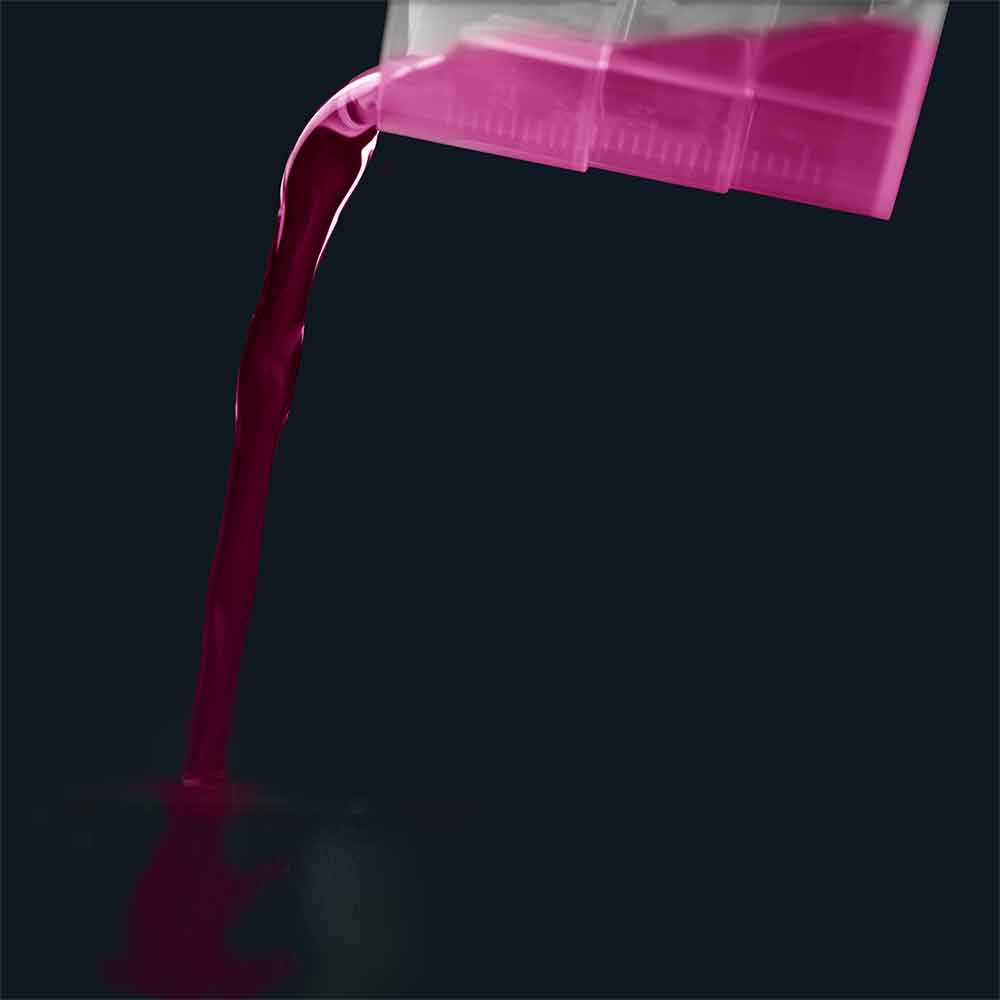 Dennerle Plant Care NPK Fertilizzante avanzato 500ml