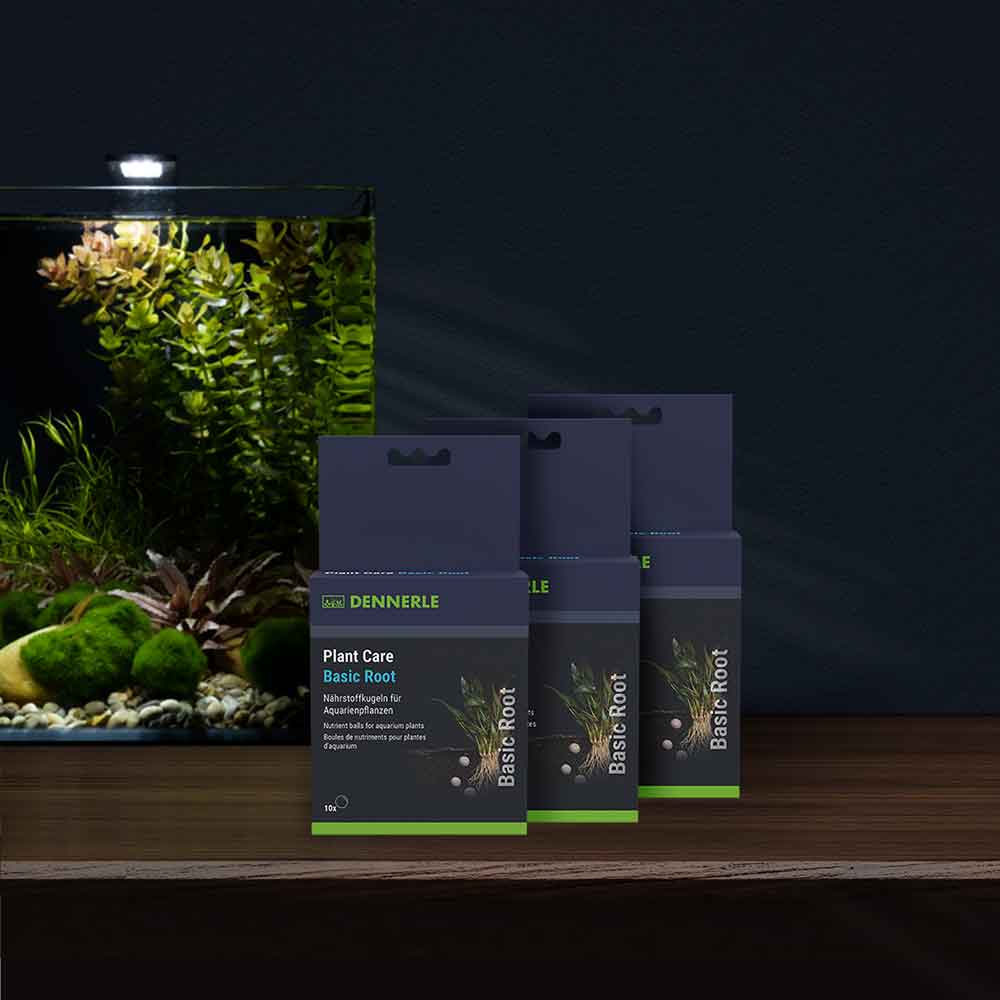 Dennerle Plant Care Basic Root Pastiglie Fertilizzanti 40pcs