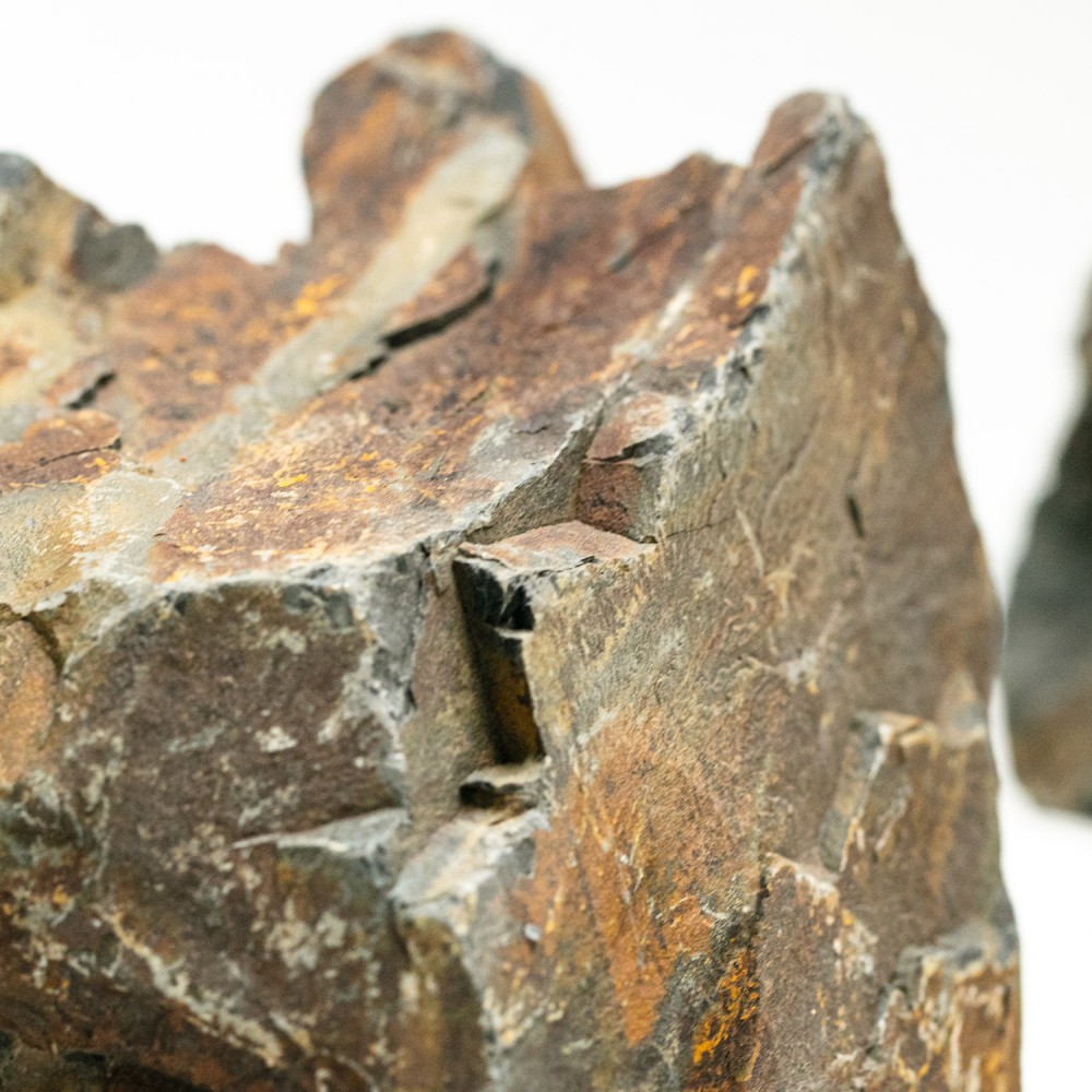 AQPET ZEN STONE ROCCE BLACK FOREST (CONF.10KG MIXED) 300GR /3 KG