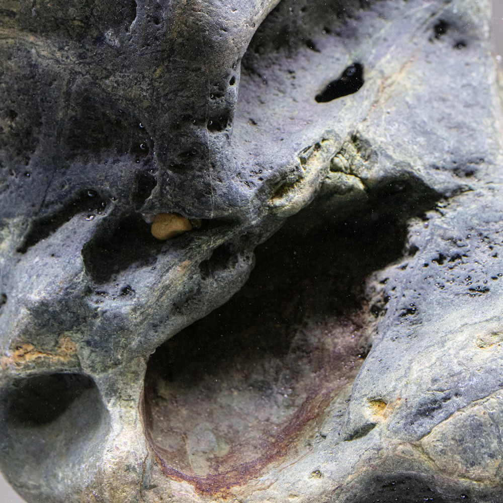 Aqpet Roccia Hakkai al Kg