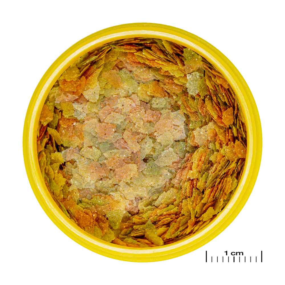 Jbl Pronovo Betta Flakes S Scaglie con Krill e Prebiotici 20ml 16gr