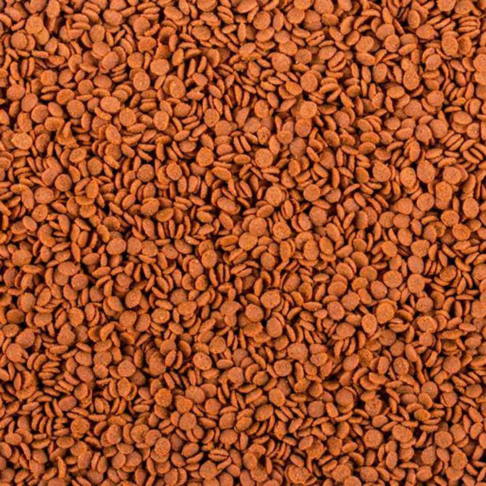 Tropical Africa Carnivore Soft line 100 ml 52 g