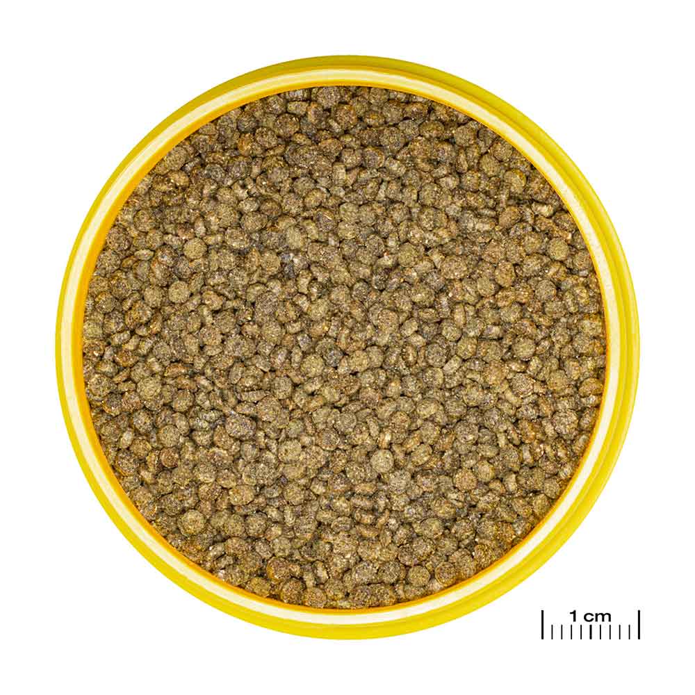 Jbl ProNovo Betta Grano S Granulare con Krill e Prebiotici 20ml 16gr