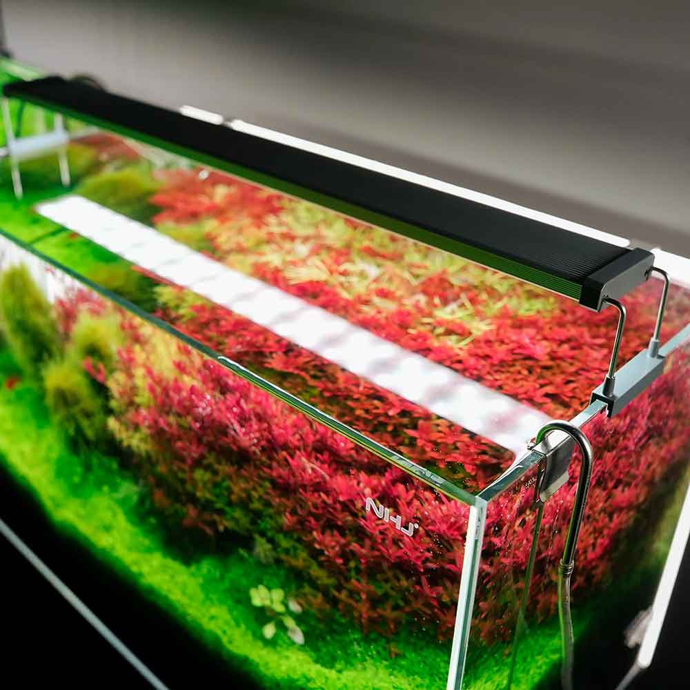 Chihiros B90 Plafoniera Led RGB con Controller per vasche 90-110cm 47W