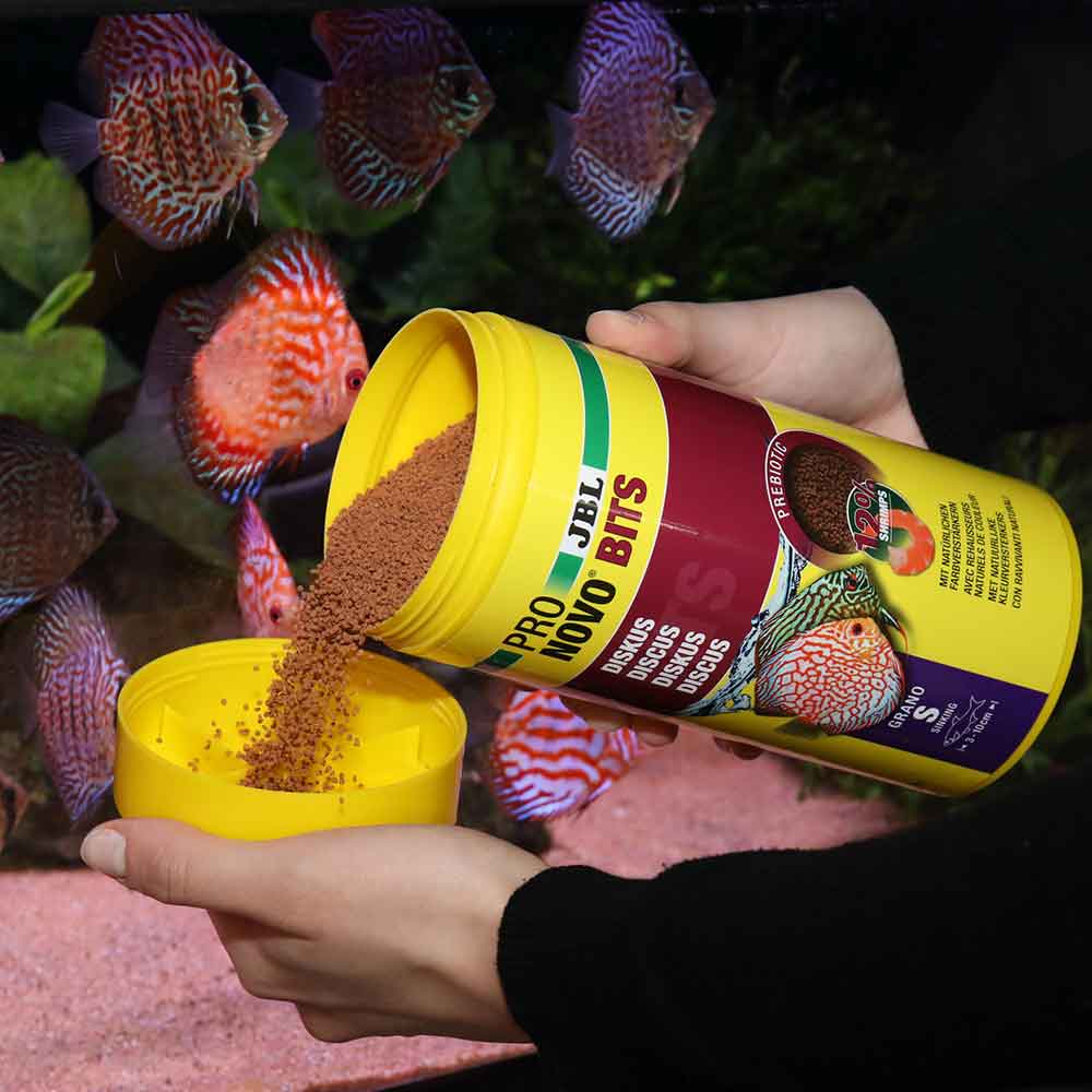 Jbl ProNovo Bits Diskus Grano M Granulare con Shrimps e Prebiotici 1000ml 480gr