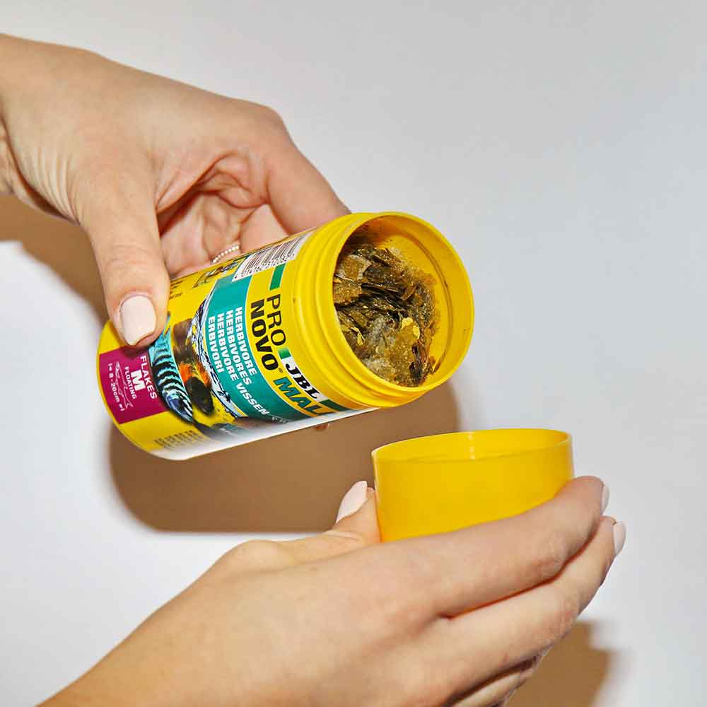 Jbl ProNovo Malawi Flakes M Scaglie con Shrimps e Prebiotici 250ml 40gr