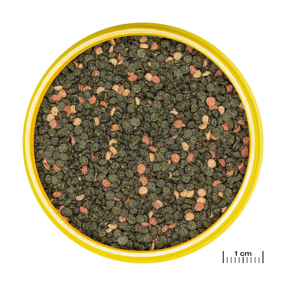 Jbl ProNovo Malawi Grano M Granulare con Spirulina e Prebiotici 5000ml 2750gr