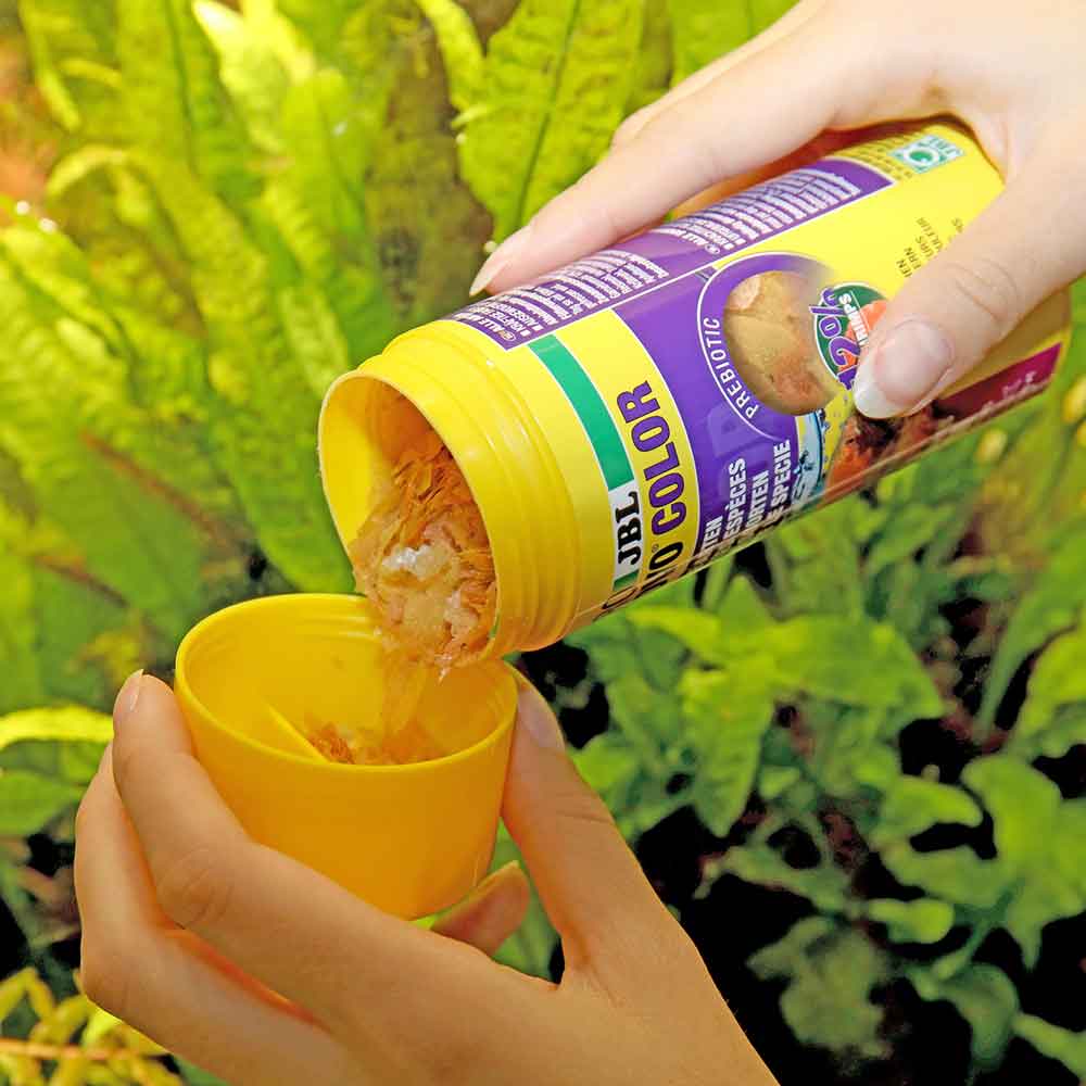 Jbl ProNovo Color Flakes M Scaglie con Shrimps e Prebiotici 100ml 18gr