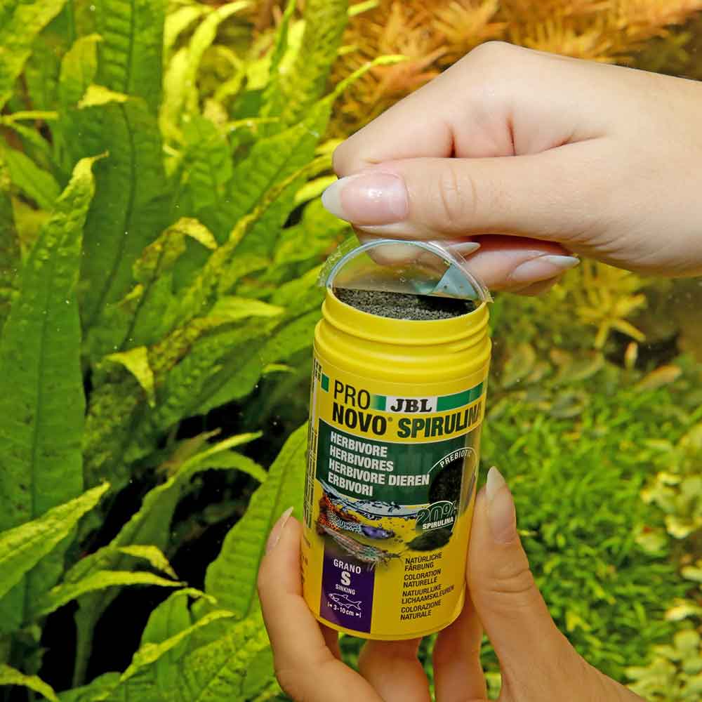 Jbl ProNovo Spirulina Grano S Granulare con Spirulina e Prebiotici 100ml 16gr