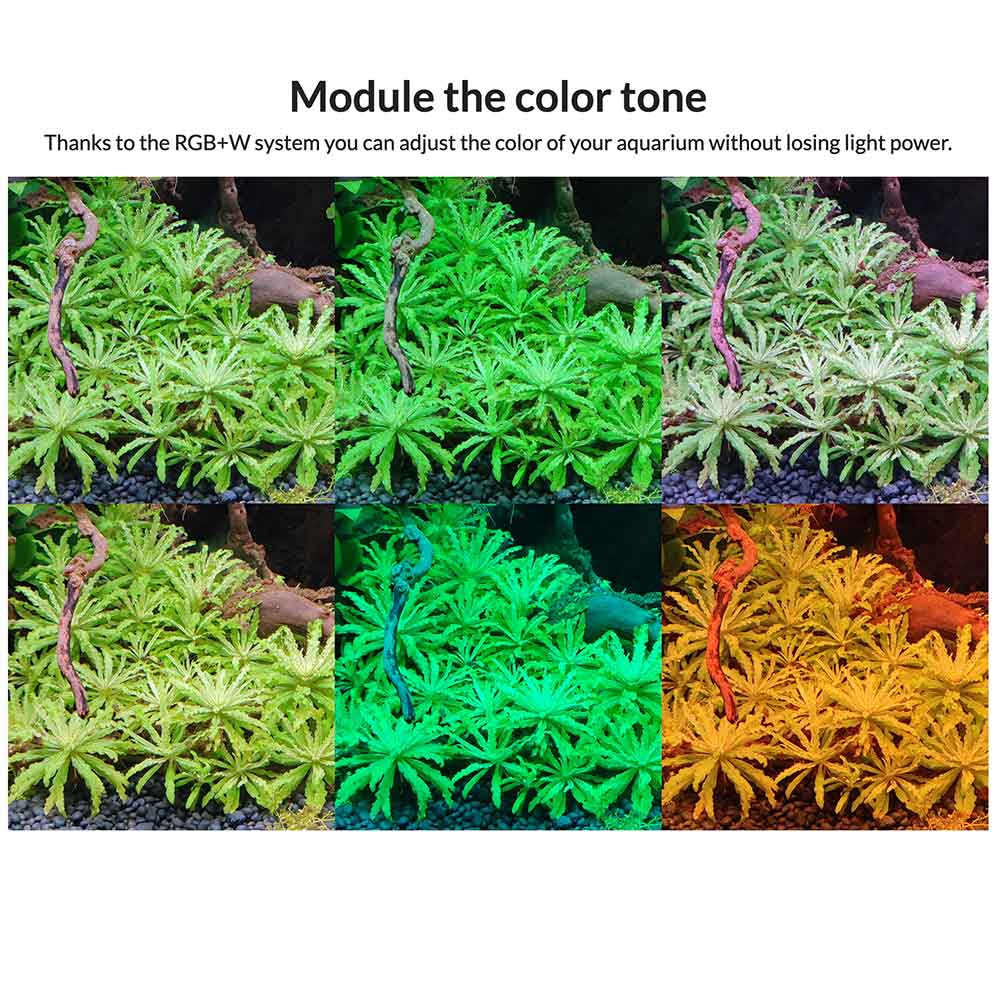 Blau Aquaristic Mini Lumina RGB+ 60cm Acqua dolce 46w